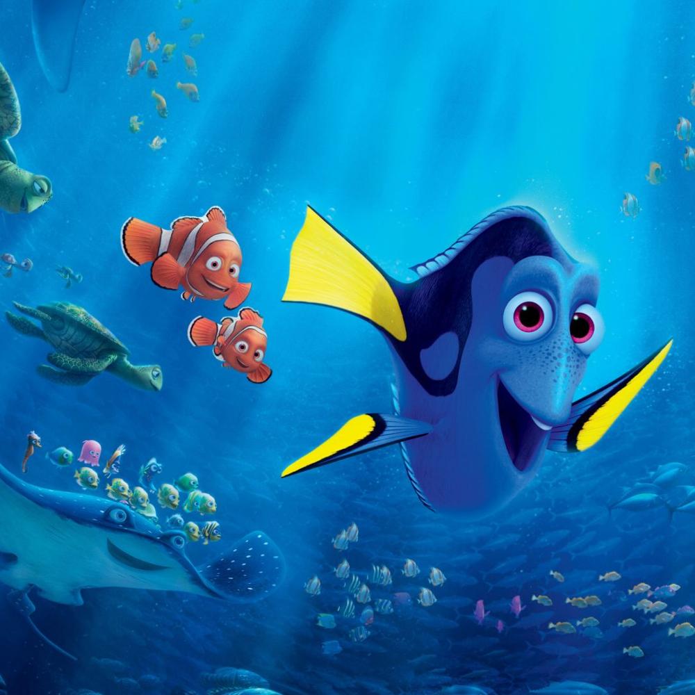 Alla ricerca di Dory