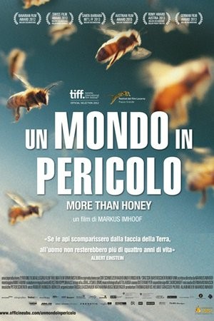 UN MONDO IN PERICOLO